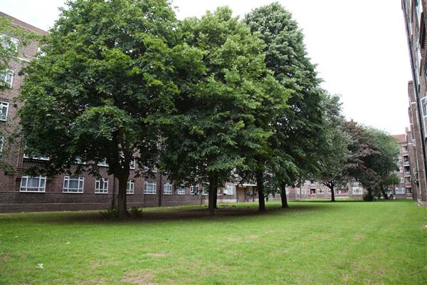 White City Estate
