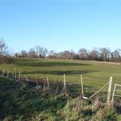 Scadbury Park Nature Reserve