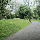 Surrey Canal Path