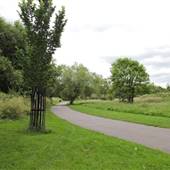 Little Wormwood Scrubs - Main Area