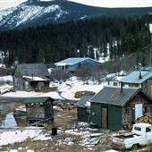 Carcross Winter