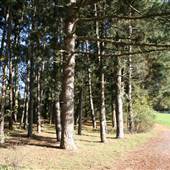 Scratchwood Nature Reserve
