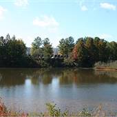 Pinckneyville Park