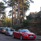 Crab Hill