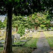 Borough Cemetery