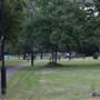 Rush Common
