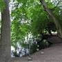 Lamorbey Park