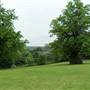 Shenstone Park