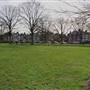 Fortune Green