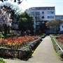 Kilburn Grange Park