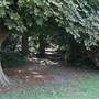 Croham Hurst