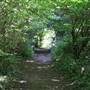 Croham Hurst
