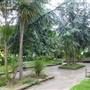 Gibson Square