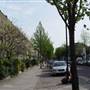 Cloudsley Road