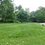 St. Mary Magdalene Garden