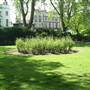Thornhill Road Gardens