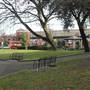 Queen's Gardens