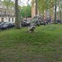 Goldington Crescent Gardens