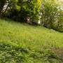 Parkland Walk