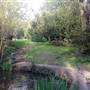 Husseywell Park