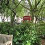 Queen Square