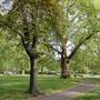 Brunswick Square Gardens