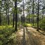 Quogue Wildlife Refuge