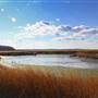 Caumsett State Park