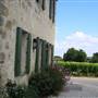 Palmer Vineyard