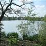 South Norwood Lake and Grounds