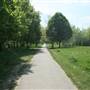 South Norwood Lake Trim Trail