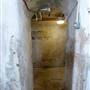 Danson House Cellar