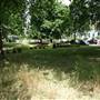 Addington Square