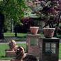 Hammonton - Homes