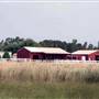 Hammonton - Condos and Vineyard