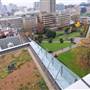 Bernard Weatherill House Rooftop