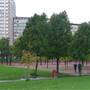 Vauxhall Gardens