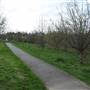 Dawson's Hill