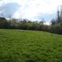 Dawson's Hill