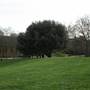 King's Stairs Gardens
