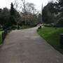 Peckham Rye Park and Common