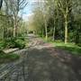 Russia Dock Woodland