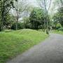 Surrey Canal Path