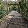 Sydenham Hill Wood