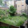 Lime Grove (hostel)