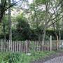 Marcus Garvey Park