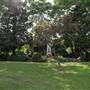 All Saints Church/Vicarage Gardens