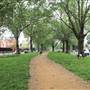 Brook Green