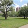 Shepherds Bush Common