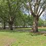 South Park - Main Park